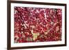 Through the Leaves-Peter Adams-Framed Giclee Print