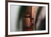 Through The Lines-Sebastian Black-Framed Photo