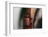 Through The Lines-Sebastian Black-Framed Photo