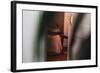 Through The Lines-Sebastian Black-Framed Photo