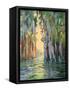 Through the Marsh I-Jane Slivka-Framed Stretched Canvas