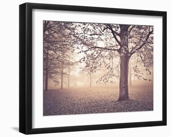 Through the Mist-Assaf Frank-Framed Giclee Print