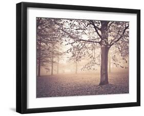 Through the Mist-Assaf Frank-Framed Giclee Print