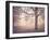 Through the Mist-Assaf Frank-Framed Giclee Print