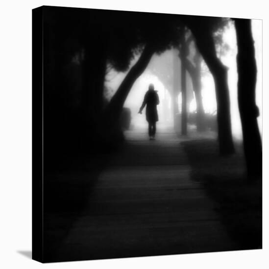 Through the Mist-Sharon Wish-Stretched Canvas