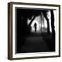 Through the Mist-Sharon Wish-Framed Photographic Print