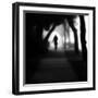 Through the Mist-Sharon Wish-Framed Photographic Print