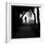 Through the Mist-Sharon Wish-Framed Photographic Print