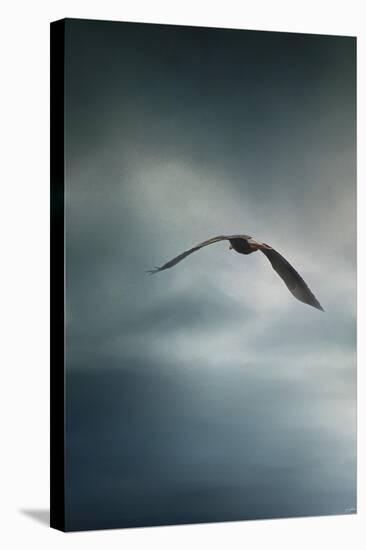 Through the Rolling Storm Bald Eagle-Jai Johnson-Stretched Canvas