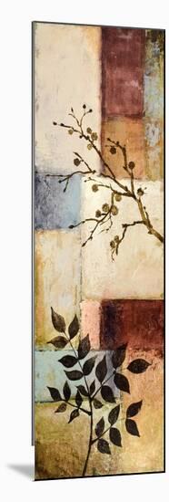 Through the Seasons III-Michael Marcon-Mounted Premium Giclee Print