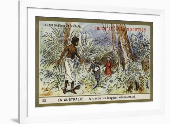 Through the Tree Ferns, Australia-null-Framed Giclee Print