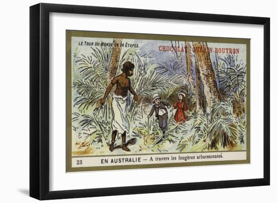 Through the Tree Ferns, Australia-null-Framed Giclee Print