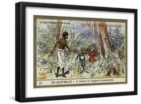 Through the Tree Ferns, Australia-null-Framed Giclee Print