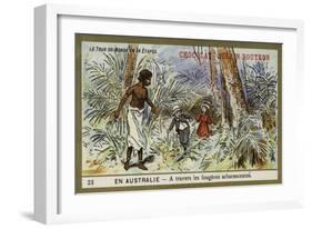 Through the Tree Ferns, Australia-null-Framed Giclee Print