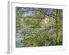 Through the Trees, 1878-Claude Monet-Framed Giclee Print