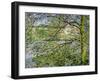 Through the Trees, 1878-Claude Monet-Framed Giclee Print