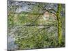 Through the Trees, 1878-Claude Monet-Mounted Giclee Print