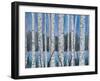 Through the Trees 1-Tina Epps-Framed Art Print