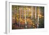 Through the Trees, 2014-Martin Decent-Framed Giclee Print