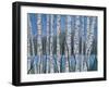 Through the Trees 2-Tina Epps-Framed Art Print