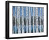 Through the Trees 3-Tina Epps-Framed Art Print