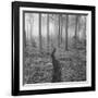 Through the Trees B&W-Andreas Stridsberg-Framed Giclee Print