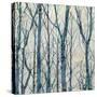 Through The Trees - Blue I-Kyle Webster-Stretched Canvas