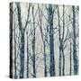 Through The Trees - Blue II-Kyle Webster-Stretched Canvas