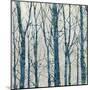 Through The Trees - Blue II-Kyle Webster-Mounted Art Print