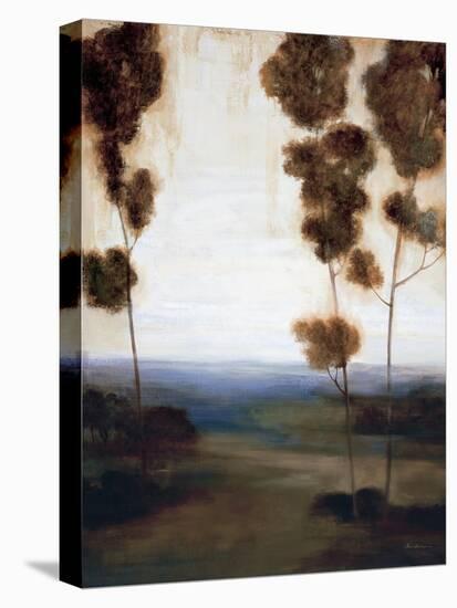 Through the Trees I-Simon Addyman-Stretched Canvas