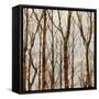Through The Trees I-Kyle Webster-Framed Stretched Canvas
