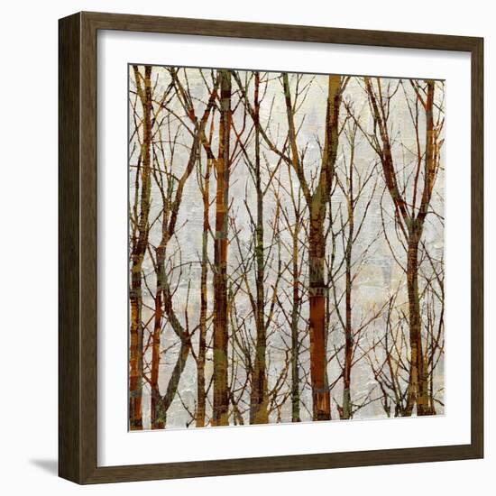 Through The Trees I-Kyle Webster-Framed Art Print