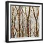 Through The Trees I-Kyle Webster-Framed Art Print