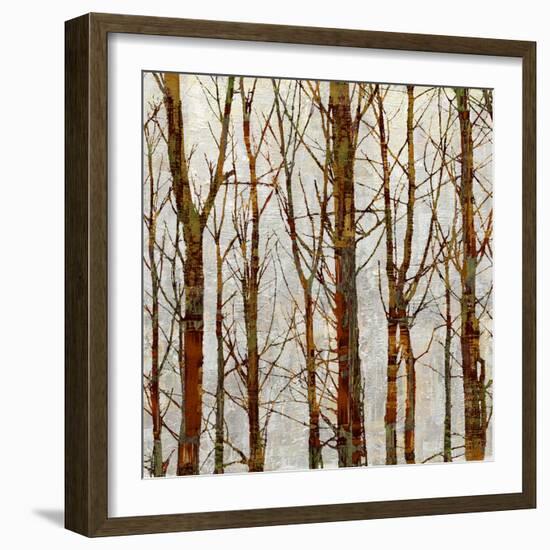 Through The Trees II-Kyle Webster-Framed Art Print