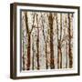 Through The Trees II-Kyle Webster-Framed Art Print