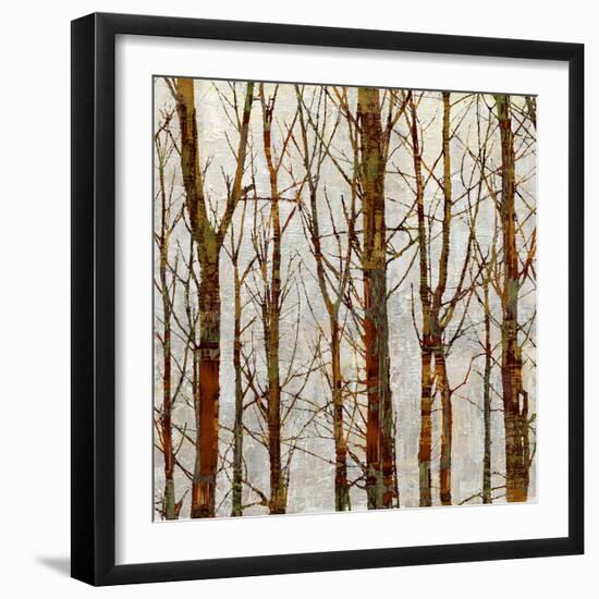 Through The Trees II-Kyle Webster-Framed Art Print