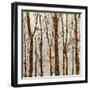 Through The Trees II-Kyle Webster-Framed Art Print