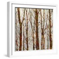 Through The Trees II-Kyle Webster-Framed Art Print