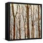 Through The Trees II-Kyle Webster-Framed Stretched Canvas