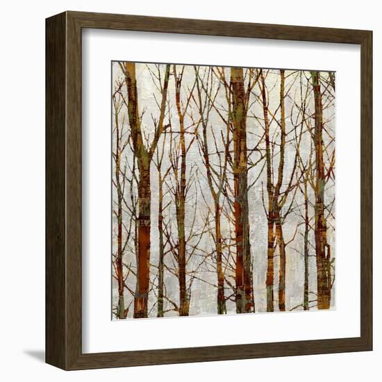 Through The Trees II-Kyle Webster-Framed Art Print