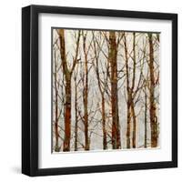 Through The Trees II-Kyle Webster-Framed Art Print