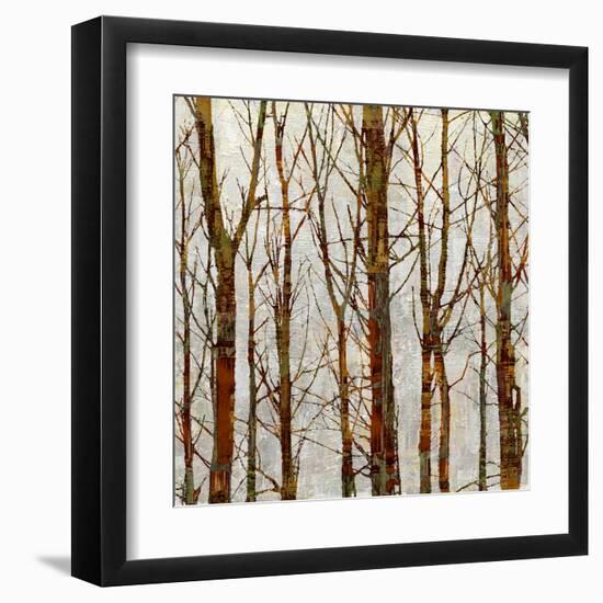 Through The Trees II-Kyle Webster-Framed Art Print