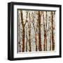 Through The Trees II-Kyle Webster-Framed Art Print