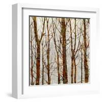 Through The Trees II-Kyle Webster-Framed Art Print