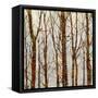 Through The Trees II-Kyle Webster-Framed Stretched Canvas