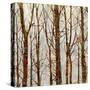Through The Trees II-Kyle Webster-Stretched Canvas