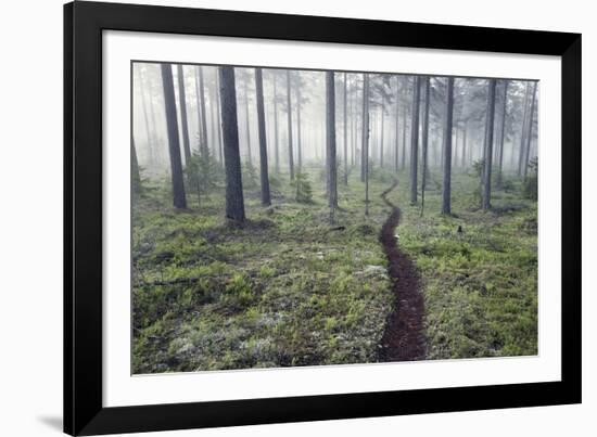 Through the Trees-Andreas Stridsberg-Framed Giclee Print