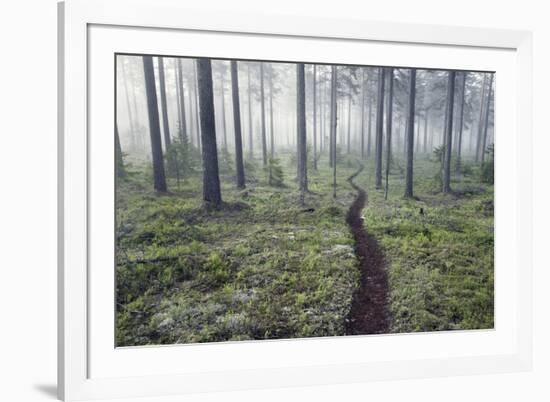 Through the Trees-Andreas Stridsberg-Framed Giclee Print