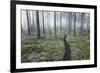 Through the Trees-Andreas Stridsberg-Framed Giclee Print