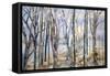 Through the Trees-Sharon Pitts-Framed Stretched Canvas